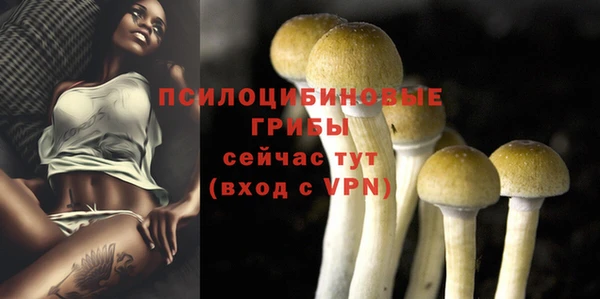 спайс Армянск