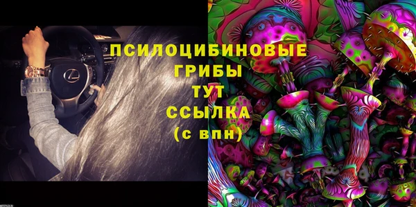 спайс Арсеньев