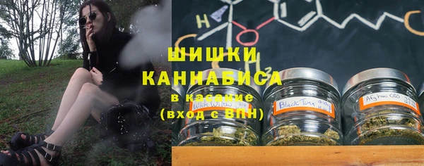 спайс Арсеньев