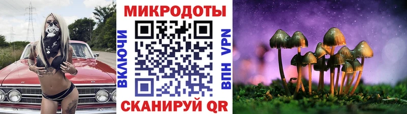 Псилоцибиновые грибы Cubensis  Протвино 